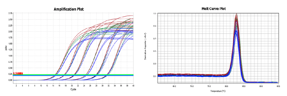 two-step RT-qPCR amplification